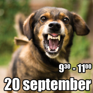 Reactieve honden training start 20 september 2025 - 1e tijdvak