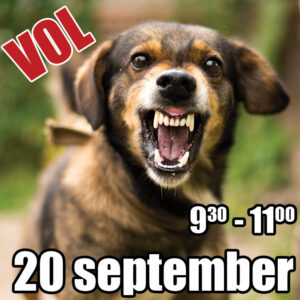 Reactieve honden training start 20 september 2025 - 1e tijdvak (VOL)