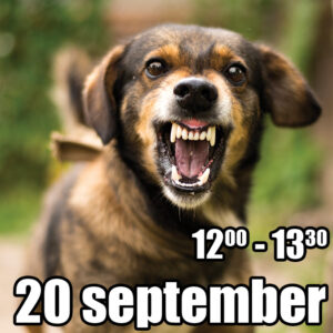 Reactieve honden training start 20 september 2025 - 2e tijdvak
