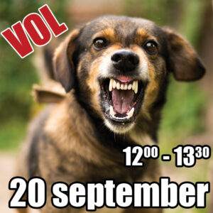Reactieve honden training start 20 september 2025 - 2e tijdvak (VOL)