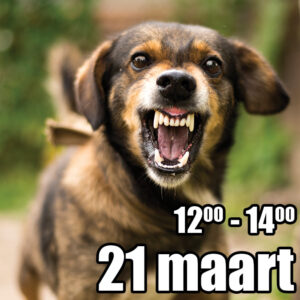 Reactieve honden training start 21 maart 2026 - 2e tijdvak
