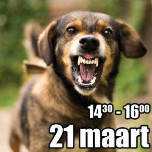Reactieve honden training start 21 maart 2026 - 3e tijdvak