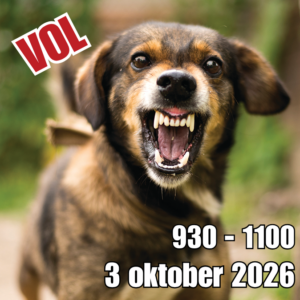 Reactieve honden training start 3 oktober 2026 - 1e tijdvak