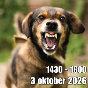 Reactieve honden training start 3 oktober 2026 - 3e tijdvak