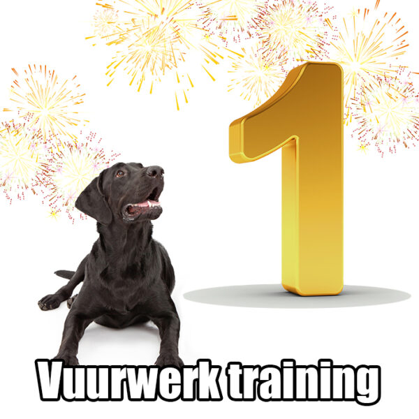 Vuurwerk training