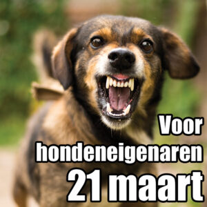 Reactieve honden training start 21 maart 2026 – honden eigenaar