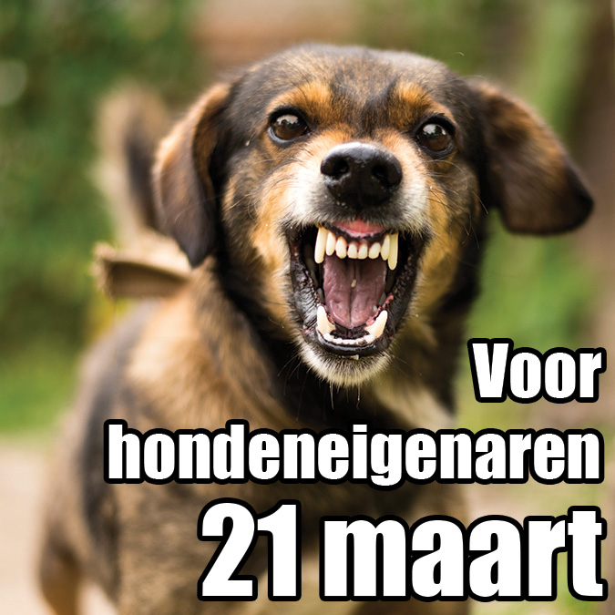 Reactieve honden training start 21 maart 2026 – honden eigenaar