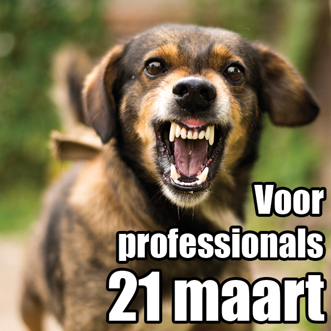 Reactieve honden training start 21 maart 2026 – professionals